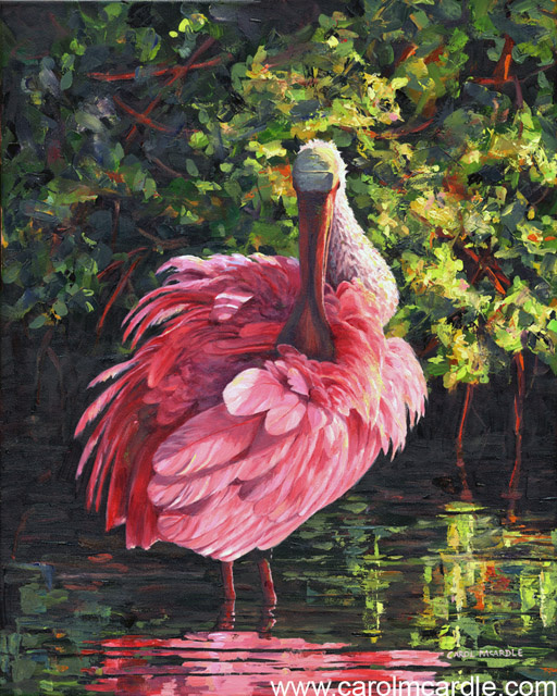 Magnificent Plumage 20"x16"